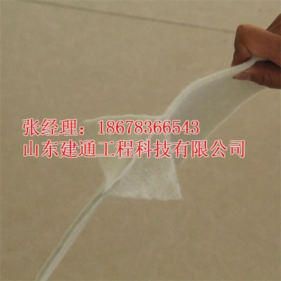 山東建通兩布一膜復(fù)合土工膜 汕頭地區(qū)價(jià)格、廠家與產(chǎn)品解析